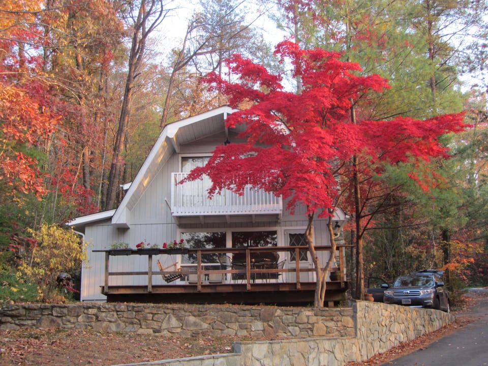 Fall at Lake Lure
