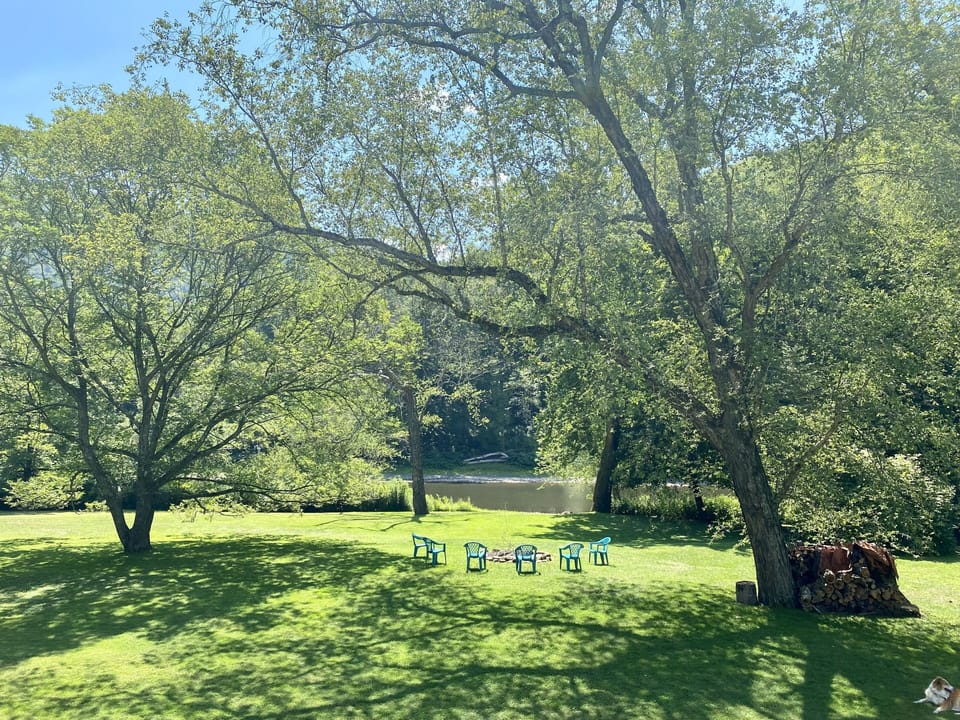 2.6acre yard with mature trees and large fire pit