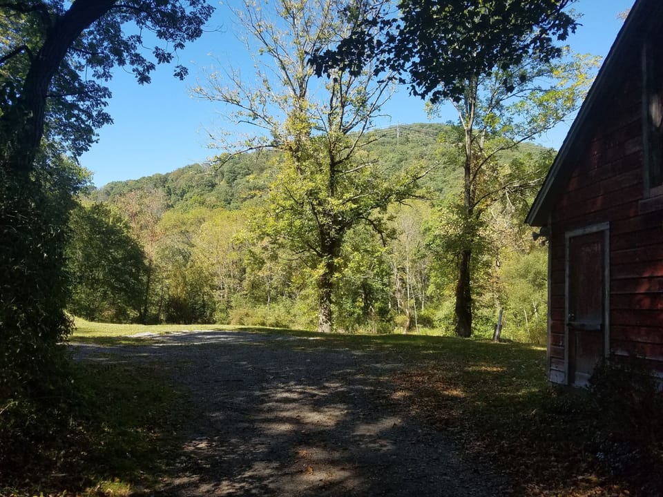 View from driveway