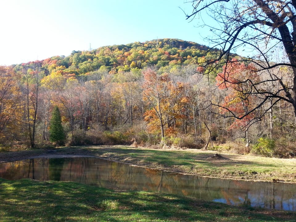 Pond /mountain view