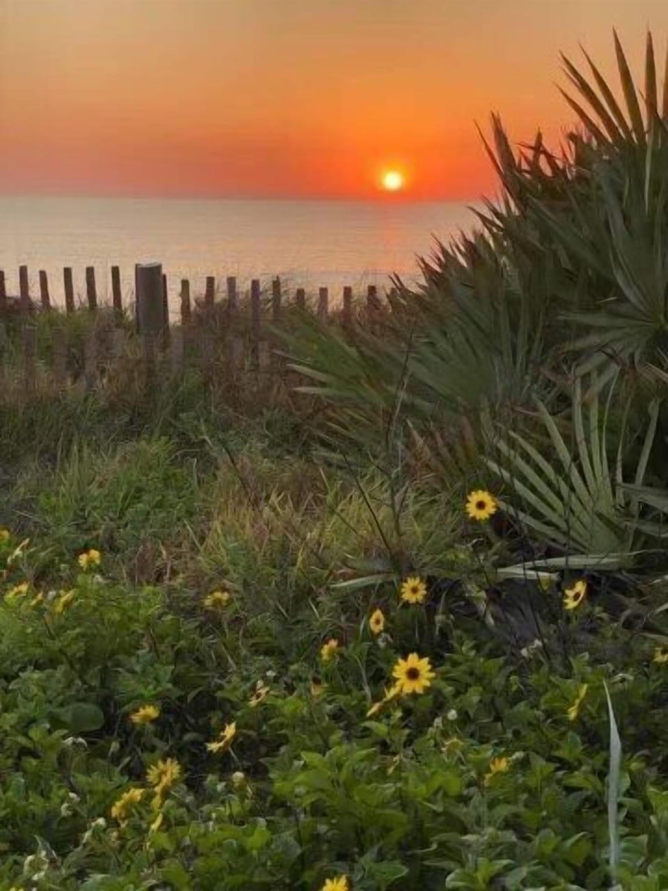 Sunrise
