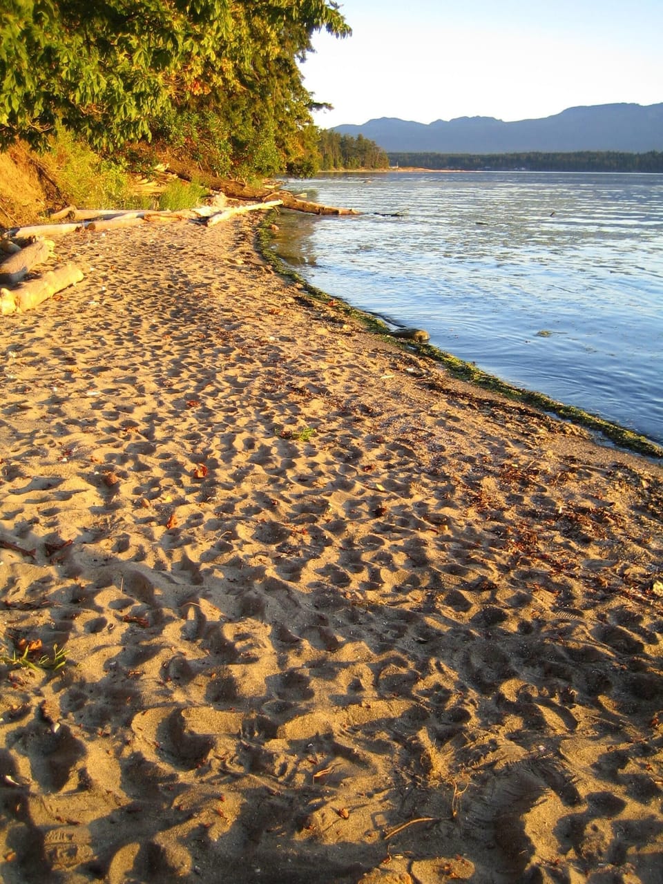 KEMA Beach across the road