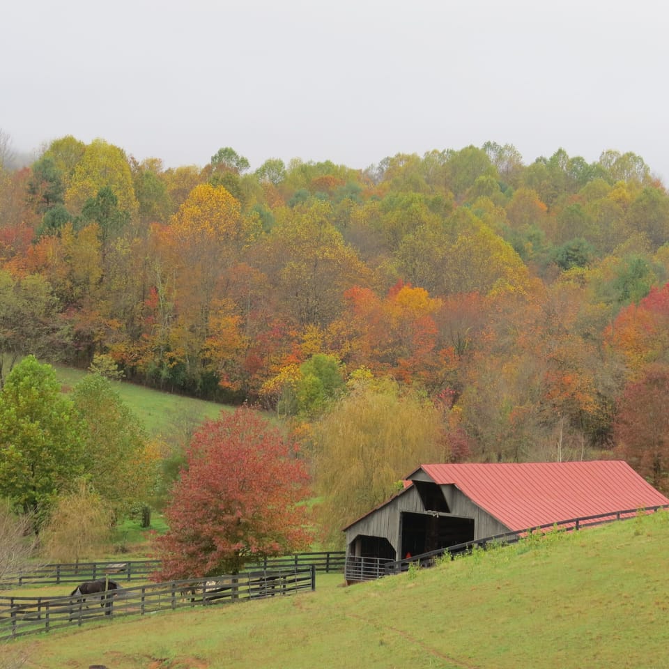 1860s Barn in Fall