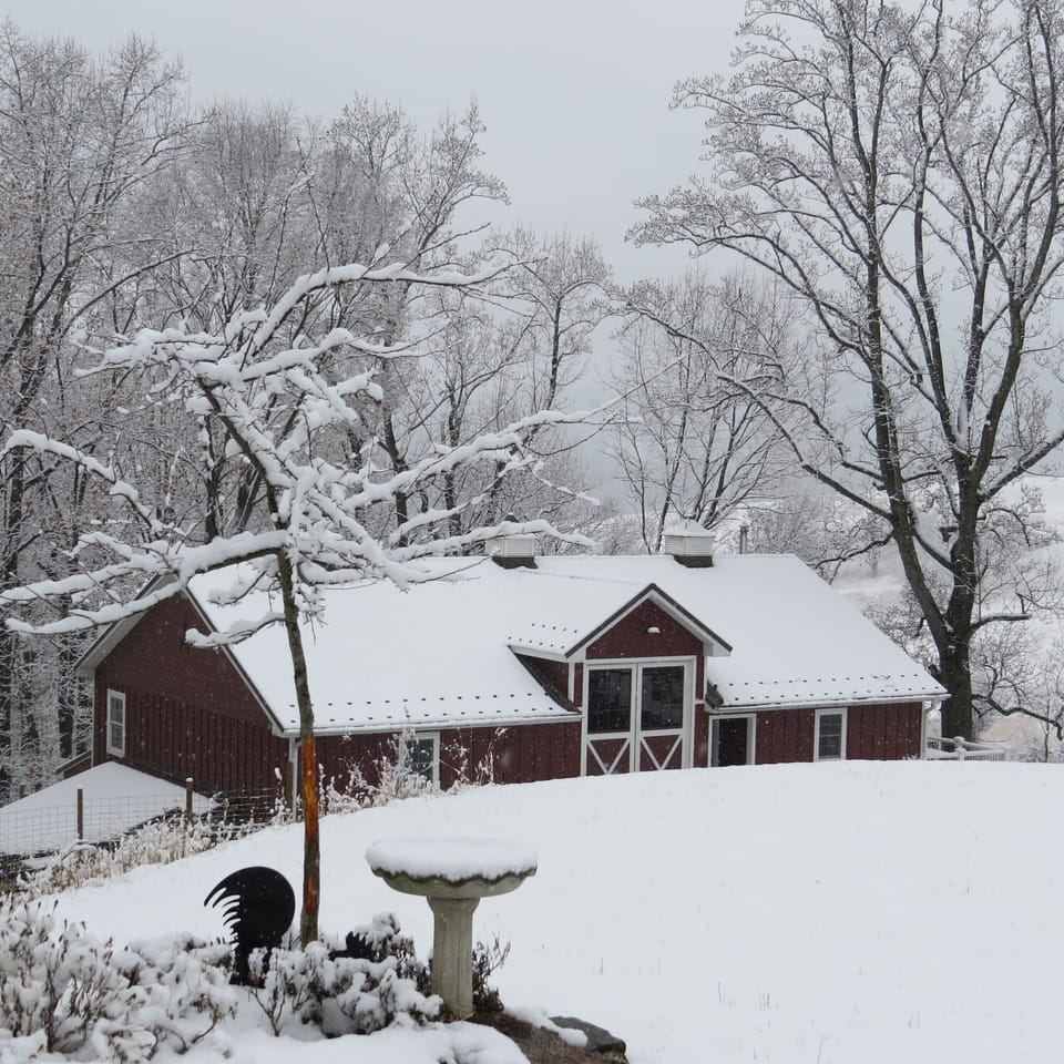 Barn in Snow