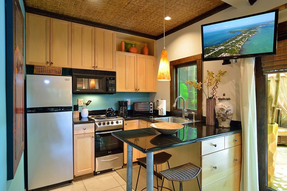 A fully equipped European style kitchen.