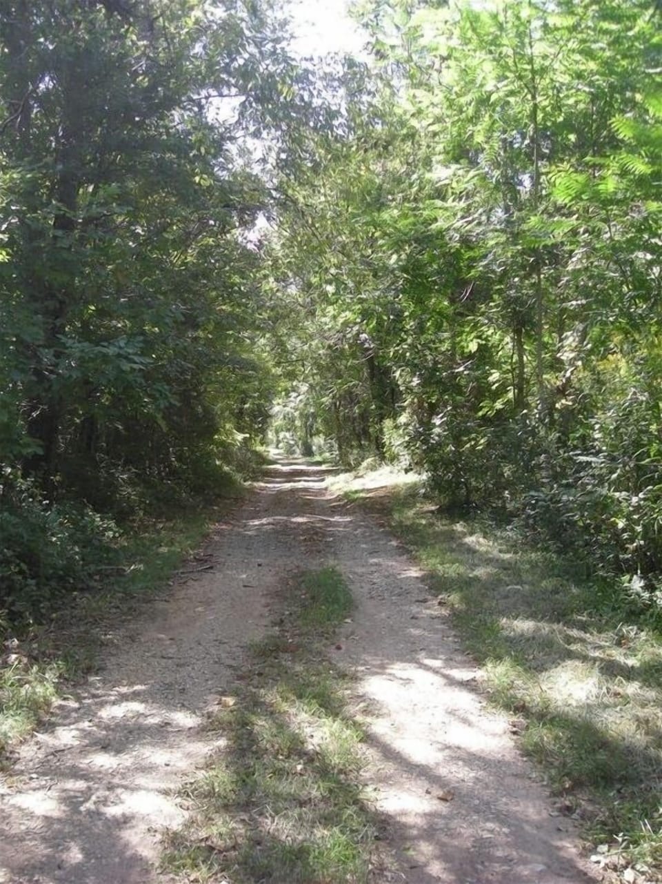 dirt road behind our house you can walk on a little ways