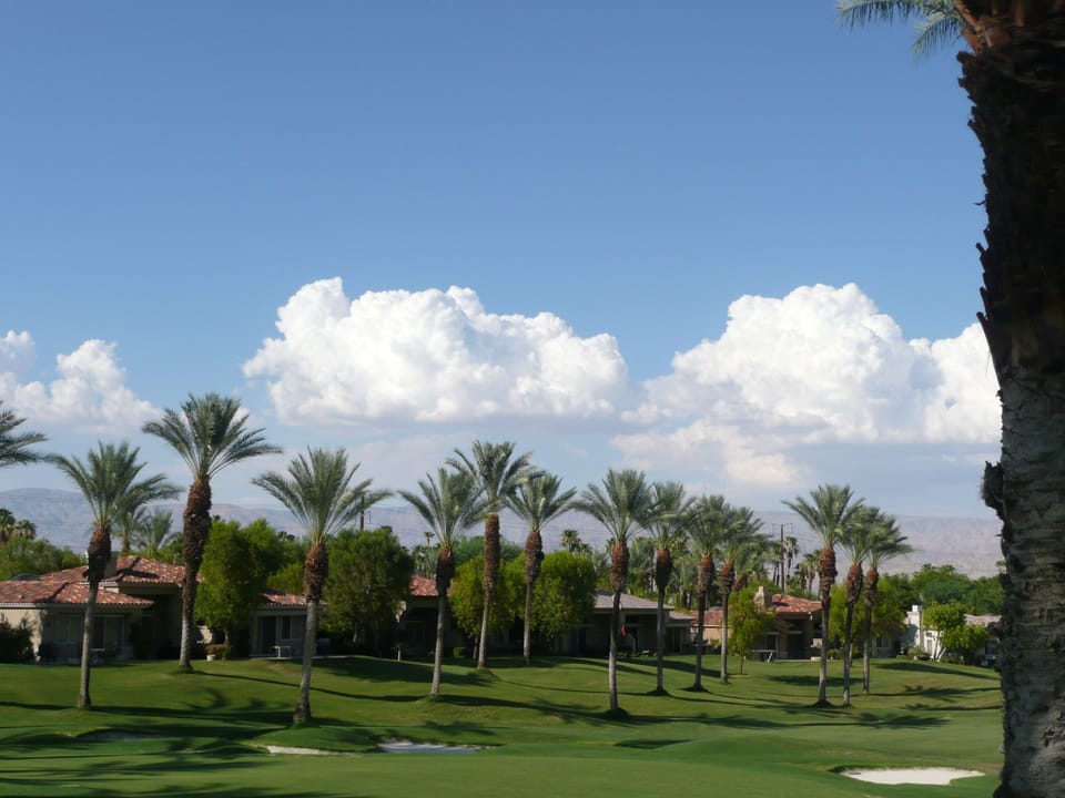 The View from Your Back Patio.