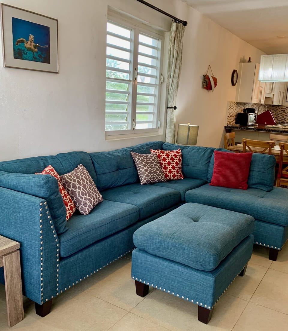 Large, comfy couch for lounging or watching TV