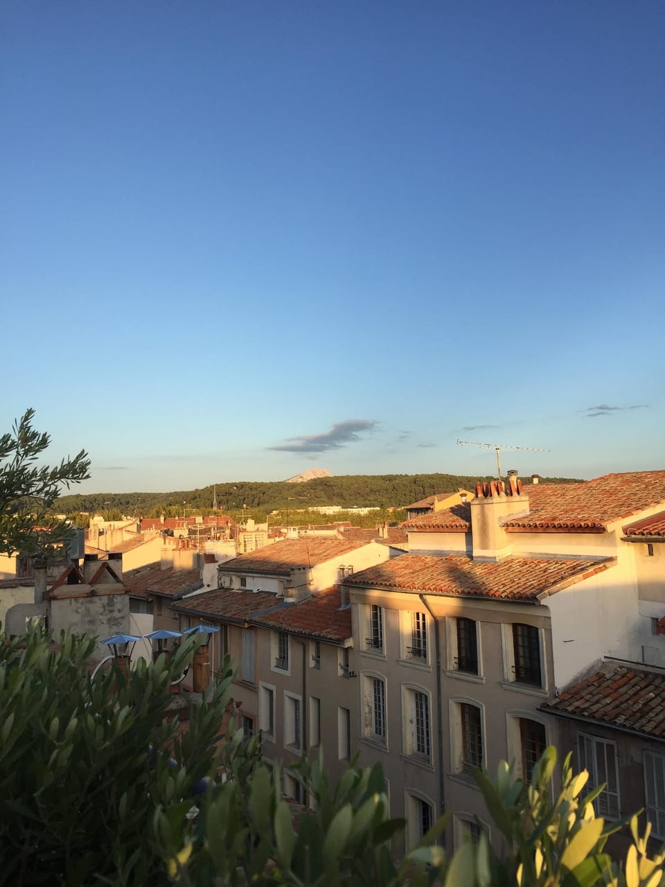 View from terrace

