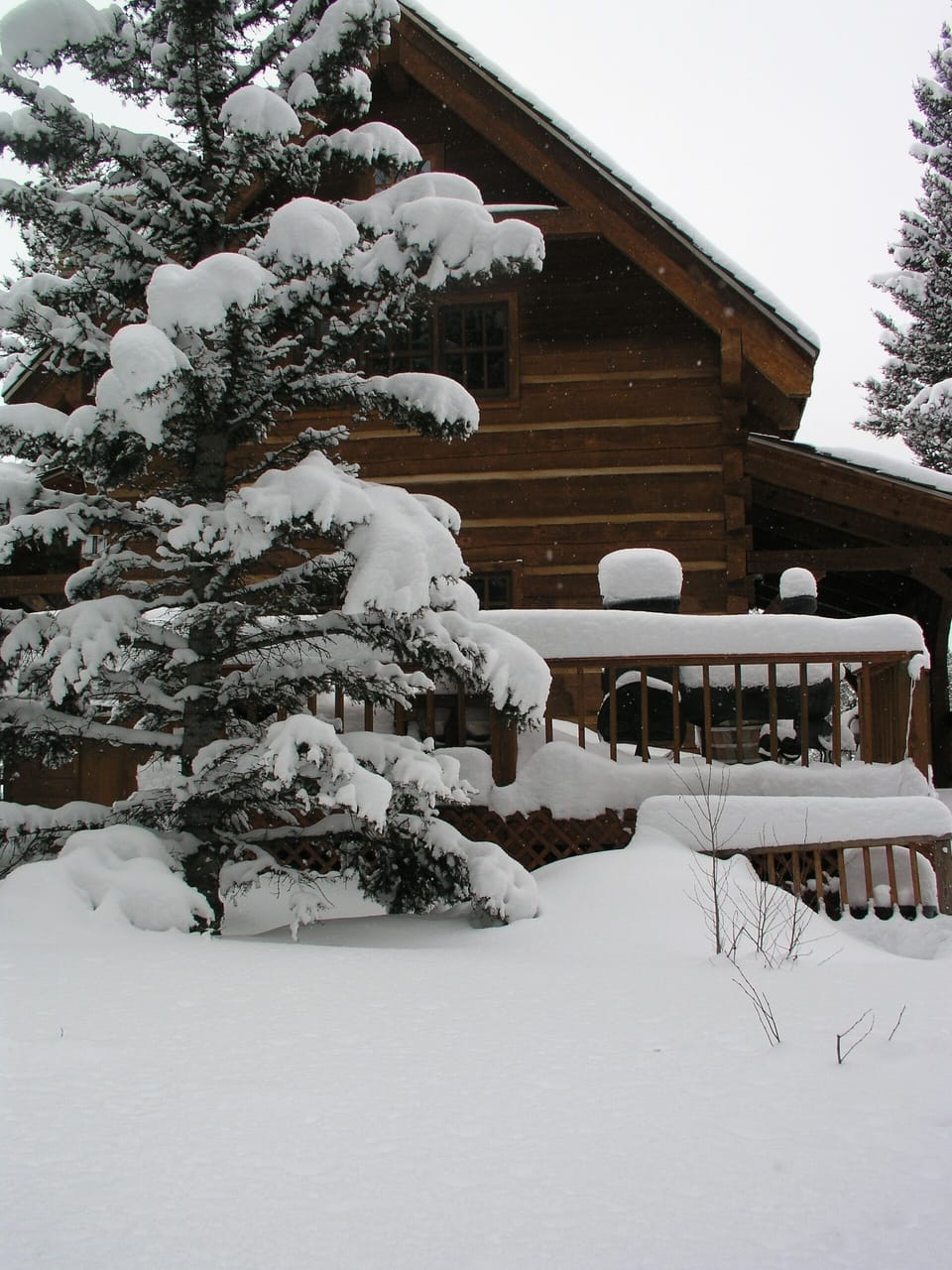 Big Beautiful Snow in 2009