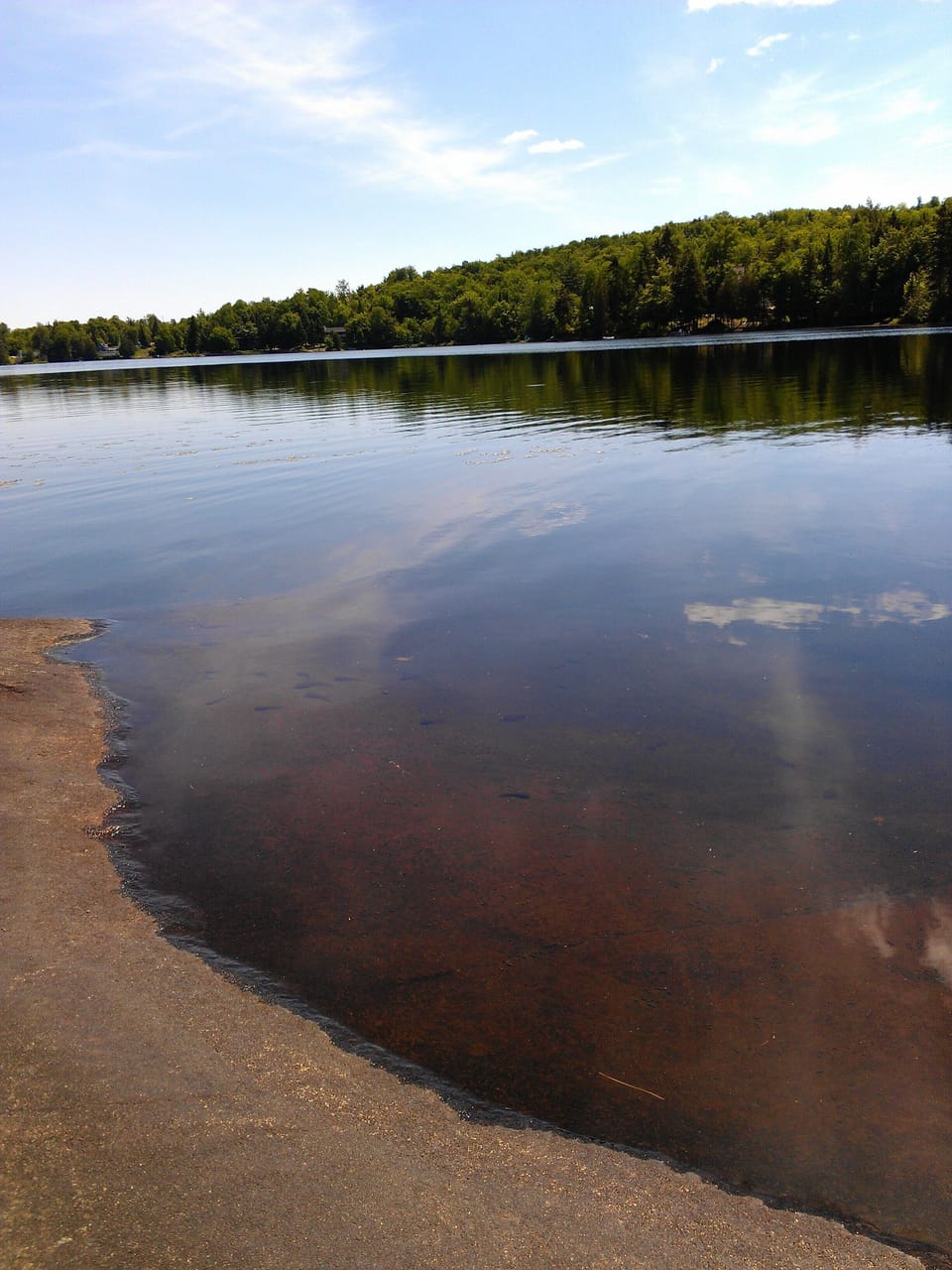 Pristine Lac Forget 