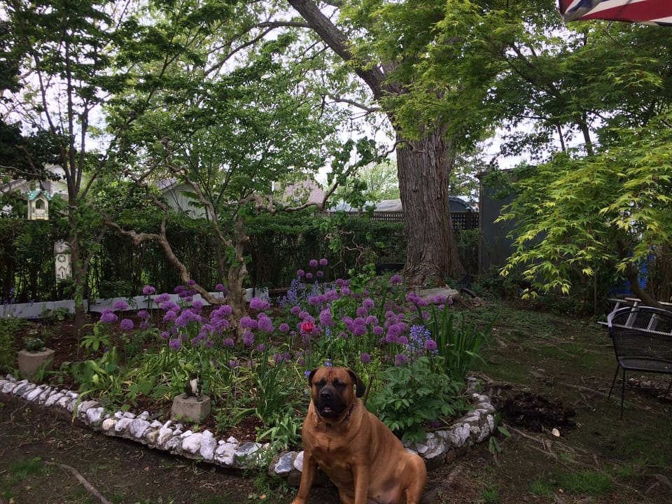 We love our gardens. Something is blooming weekly. 