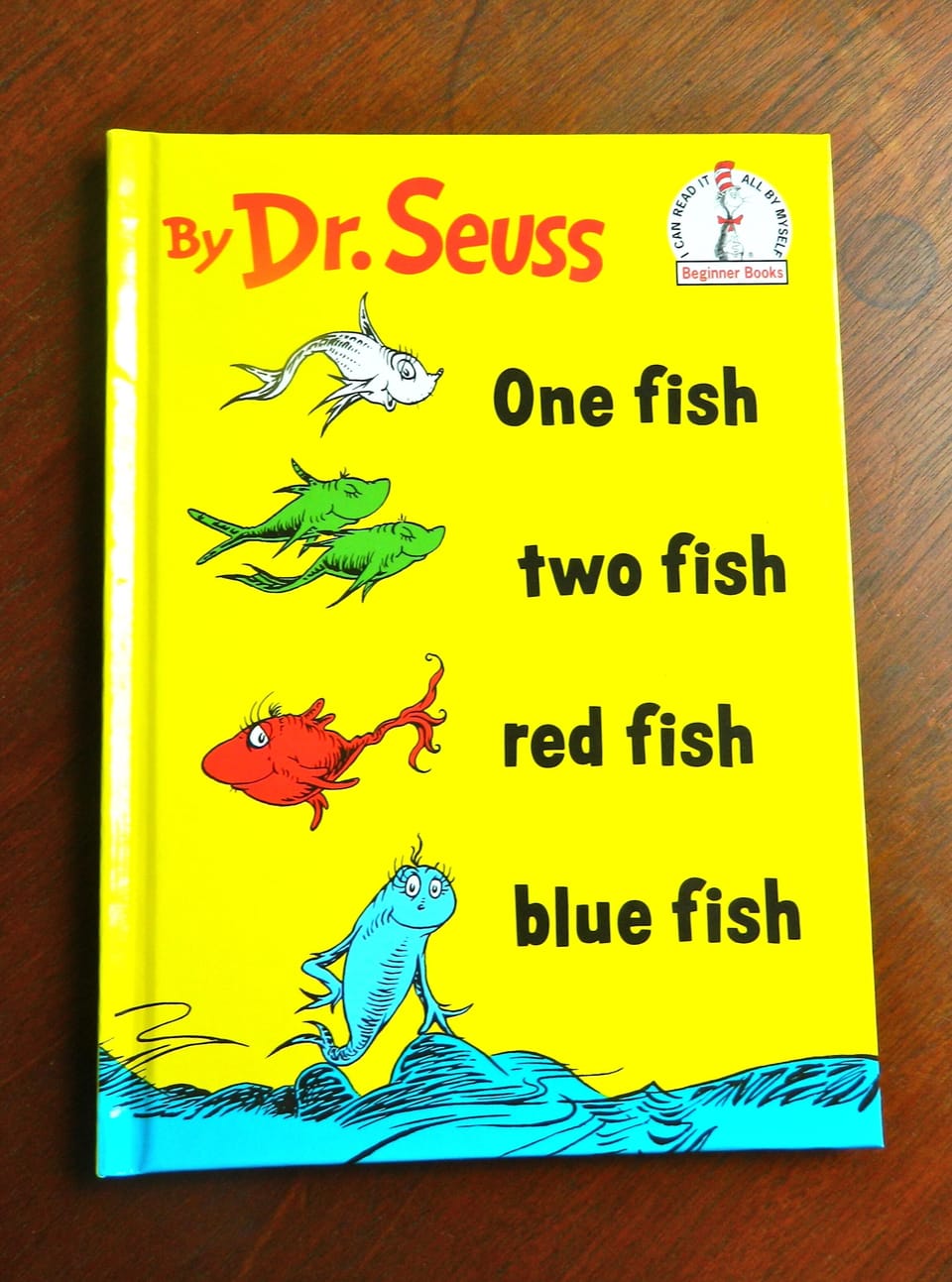 Inspiration for the name