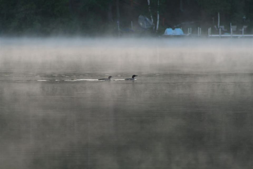 Morning at the Lake