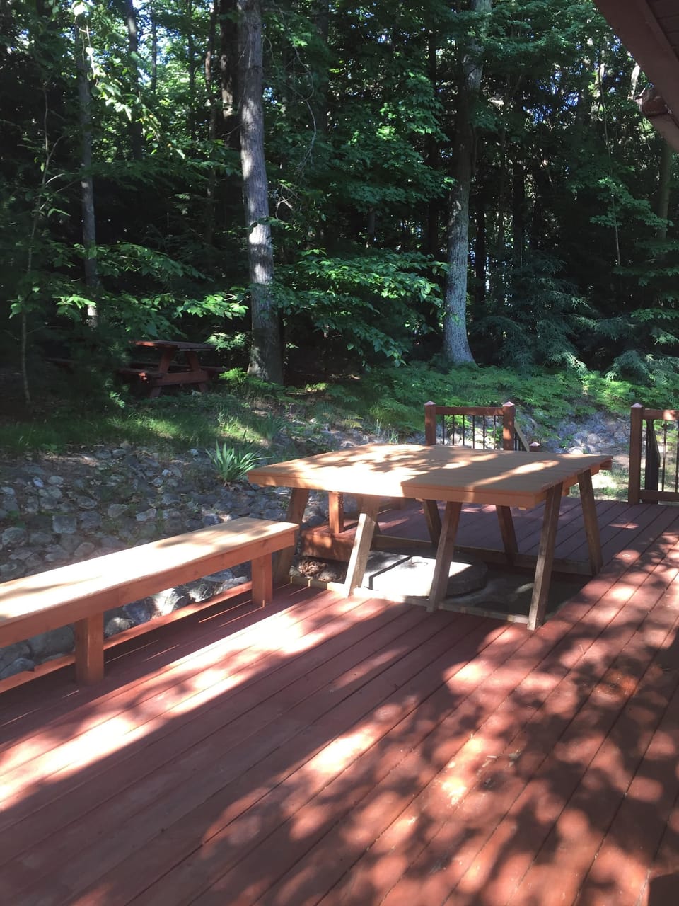 Back deck 