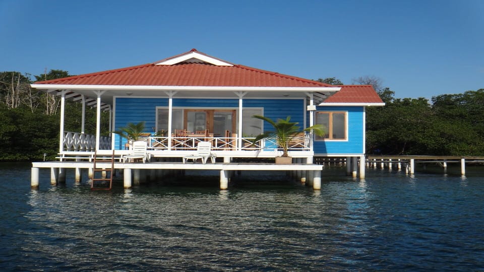 The Blue House