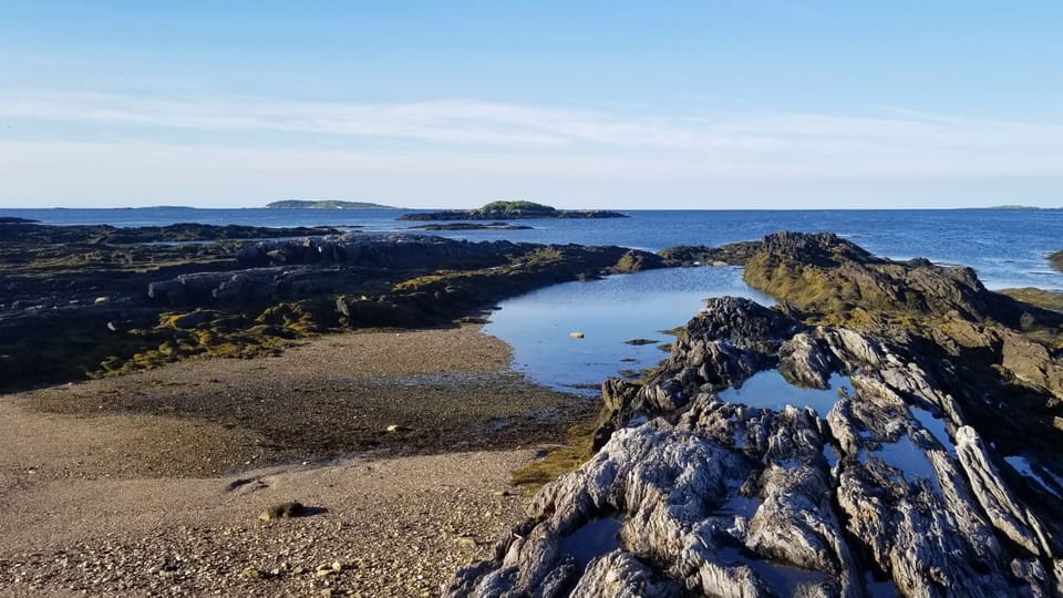 Tide pool at low tide. 230 feet from the front deck.