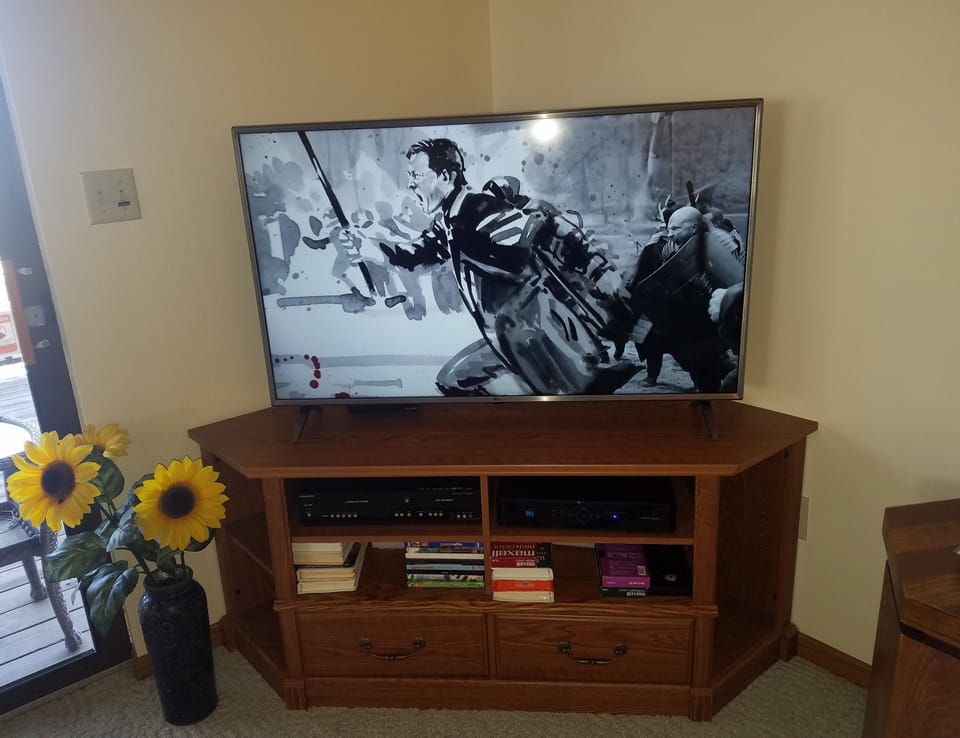 Nice 50" Flat Screen TV in Living Room