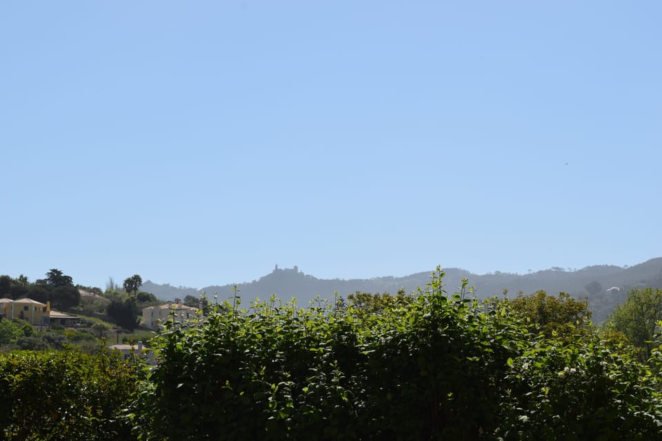 The Garden View of Penha Palace.