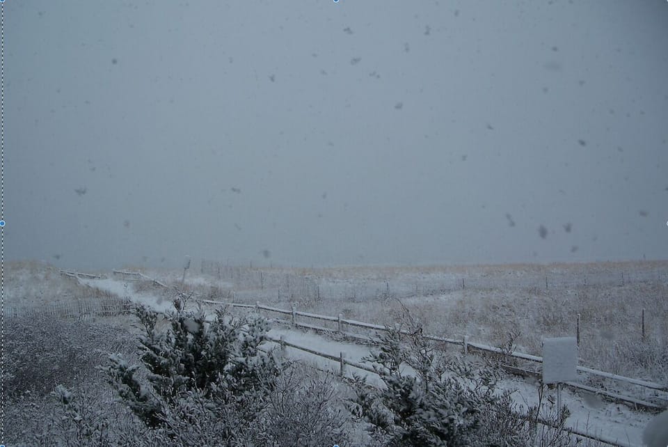 A rare winter wonderland.