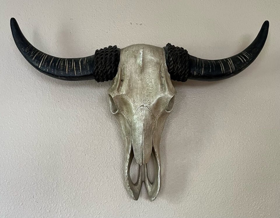 Wild West steer skull decor