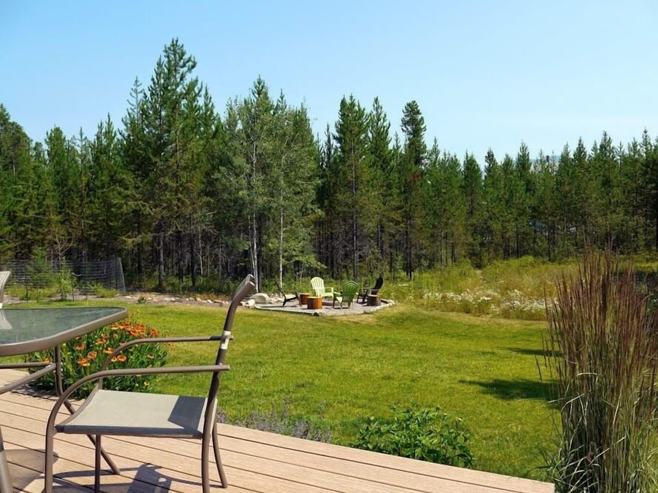 Summertime view of the yard