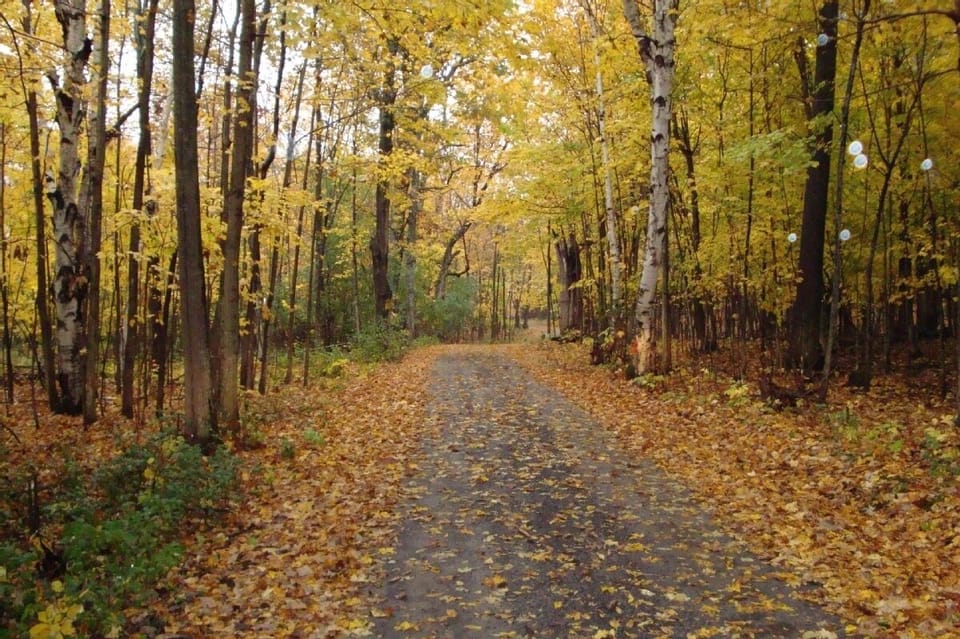 The road to the cottage