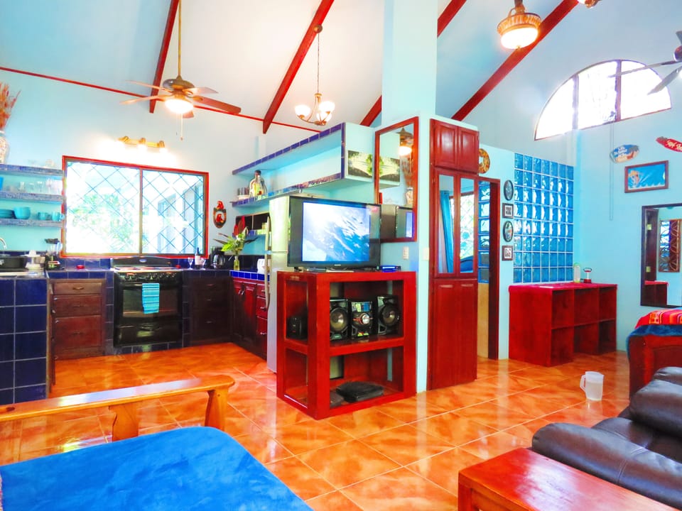 Main room, 40" TV & DVD Player, Vaulted Ceilings, Natural Light