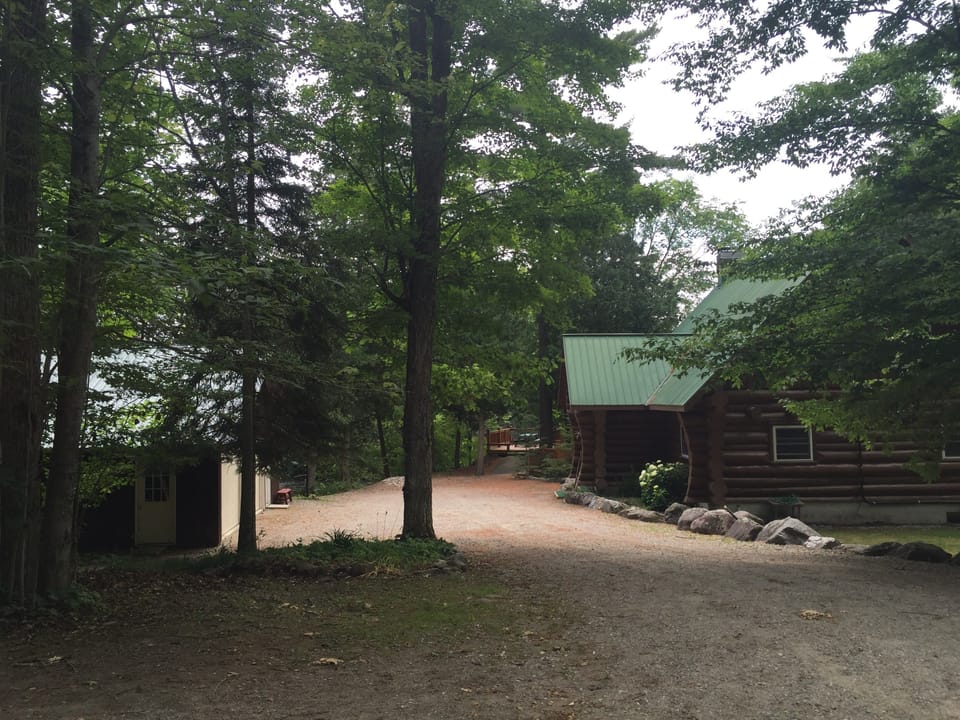 View from the laneway as you approach the cabin. 
