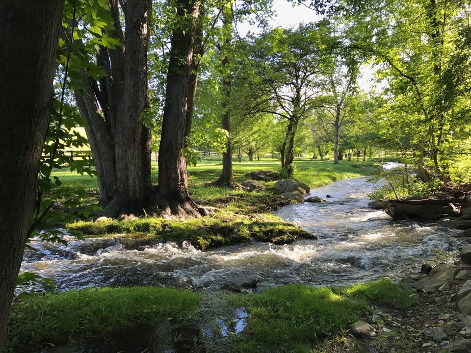 Pantherskin Creek, that used to power the mill, runs through the property