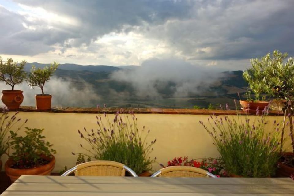 Upstairs terrace in June.