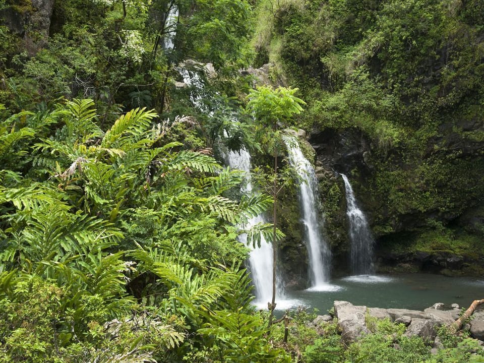 7 Sacred Pools on the Road to Hana!!