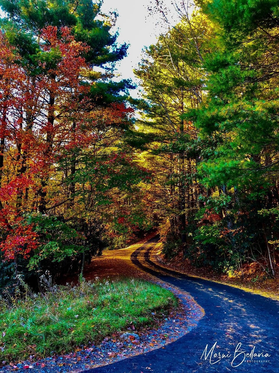Street in the fall