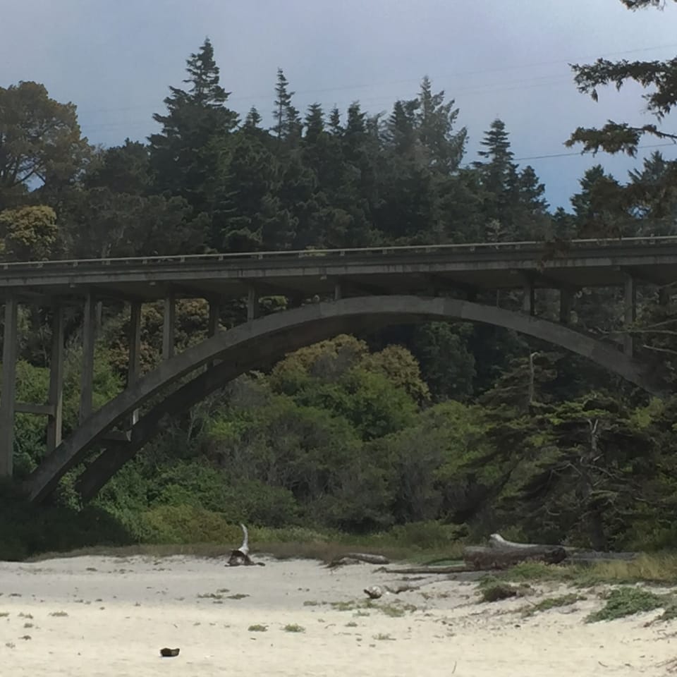 Jughandle Beach, wonderful hiking
