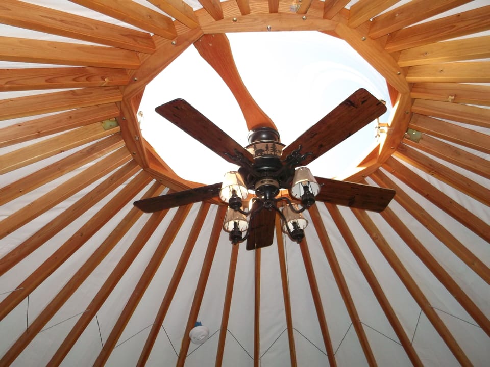 Dome skylight and fan 