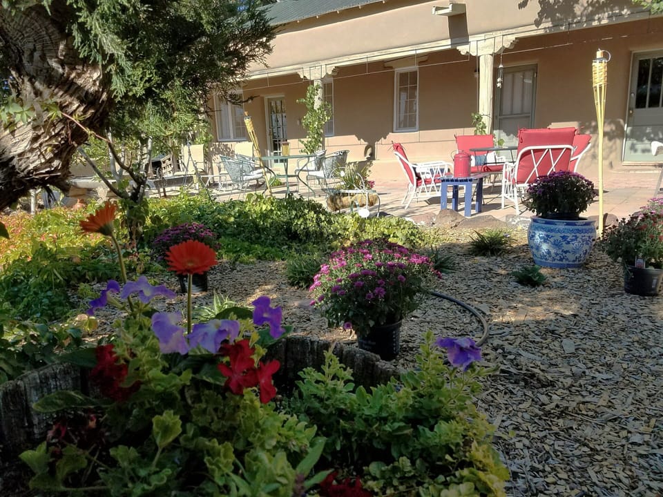 Patio Area