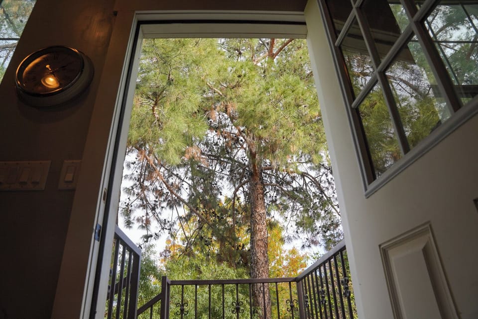 Looking out your front door