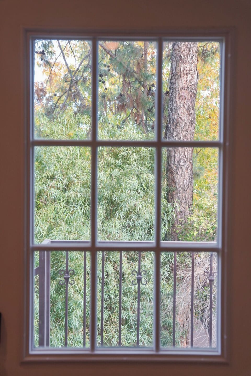 View from the kitchen out windows