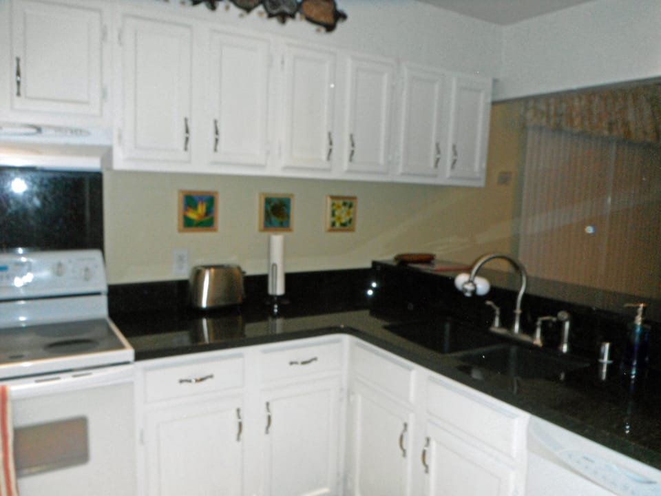 Kitchen comes fully stocked with dishes and household appliances.