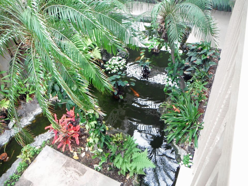A Koi pond between buildings