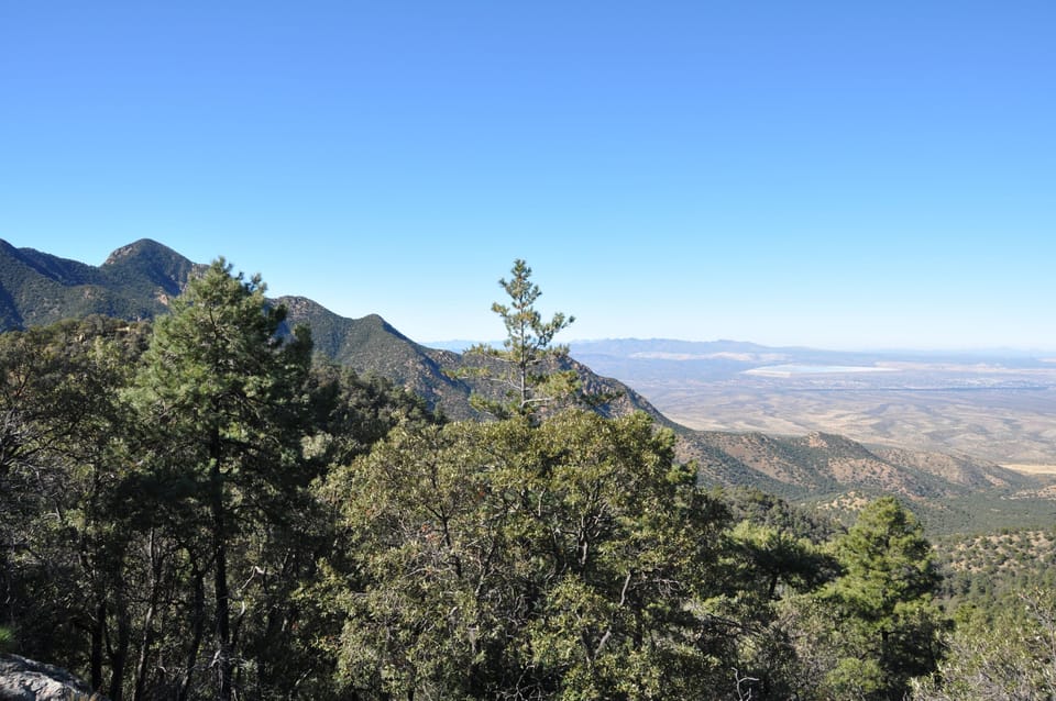 Hike the trails nearby...