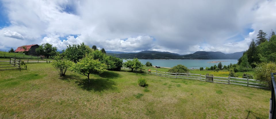 The view!