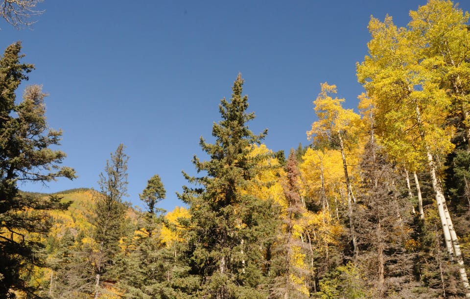 View North from deck