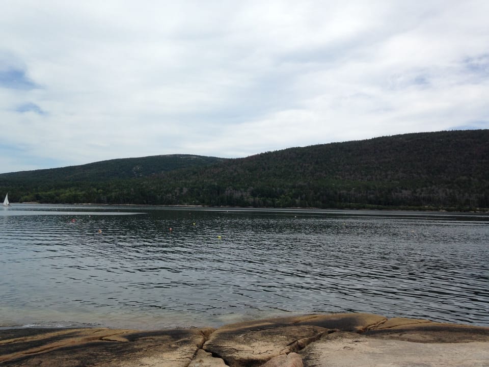 Shoreline in front of property