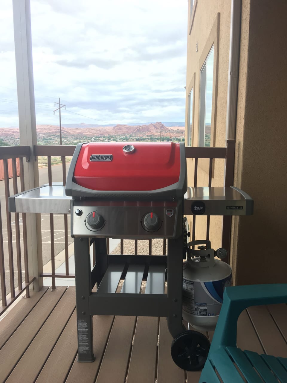 New Webber grill!
