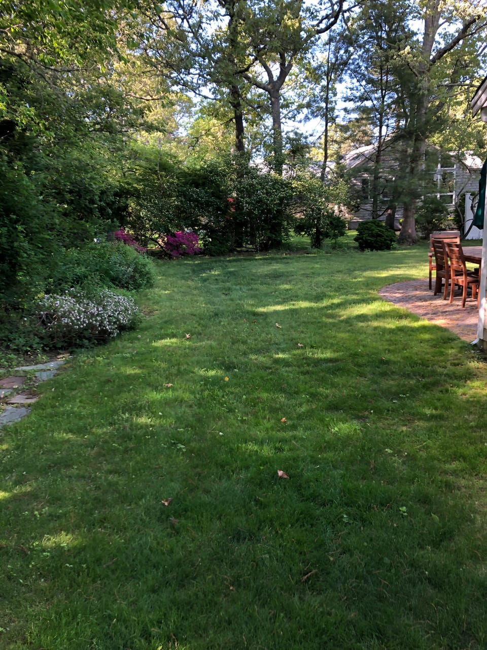 Private & spacious back yard. 