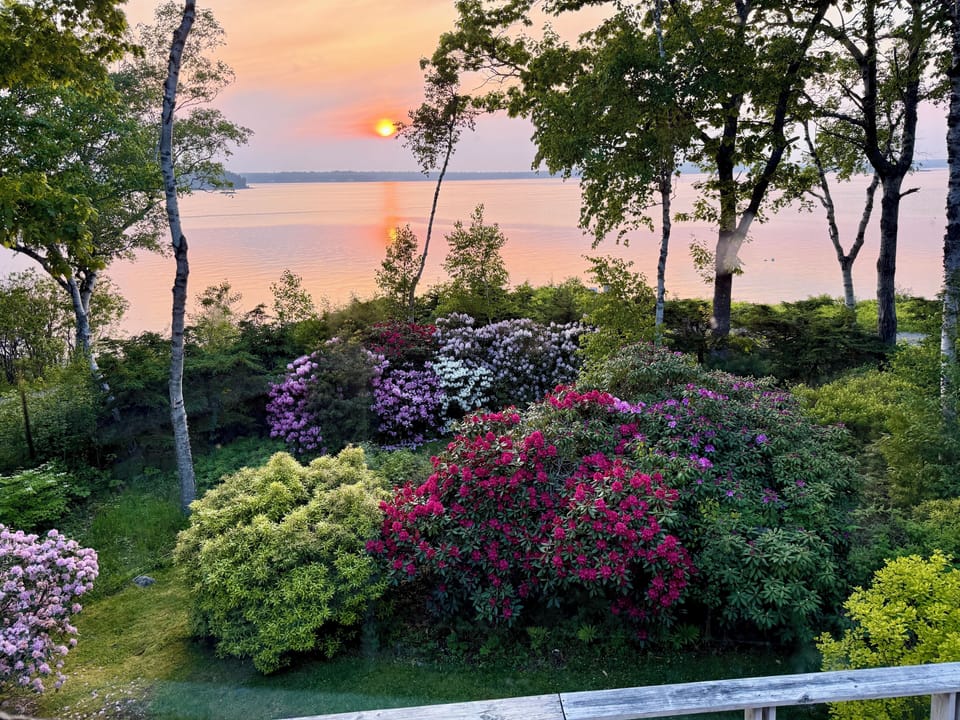 View from property