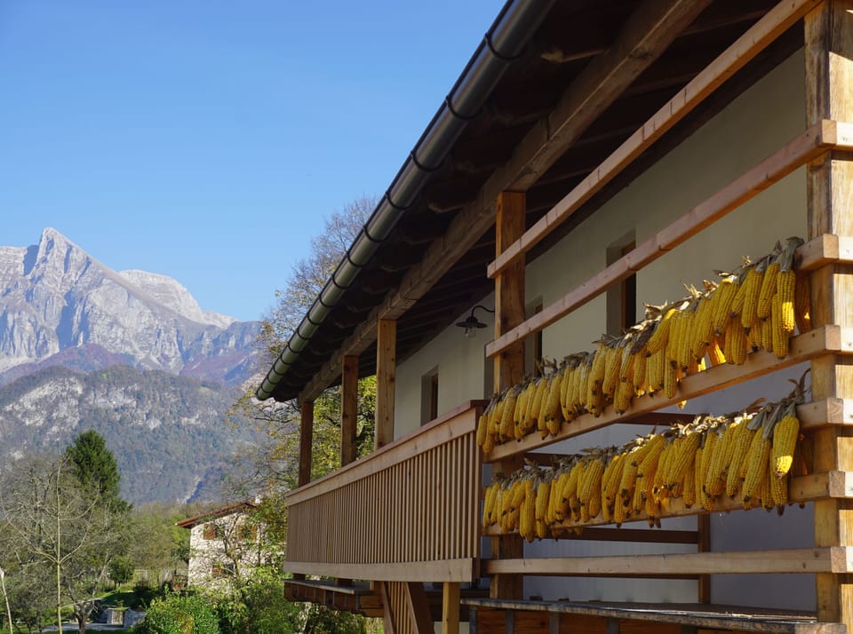 View of the mountain Krn