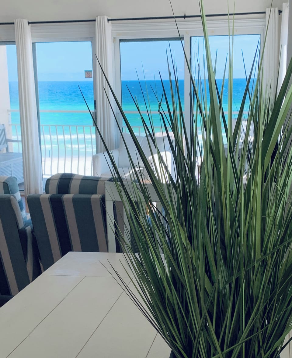 dining room view