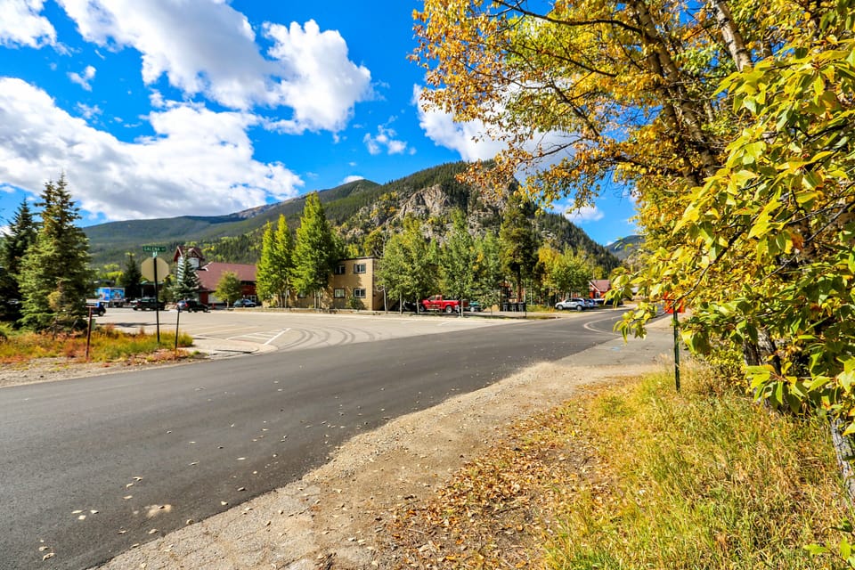 Mount Royal from the driveway